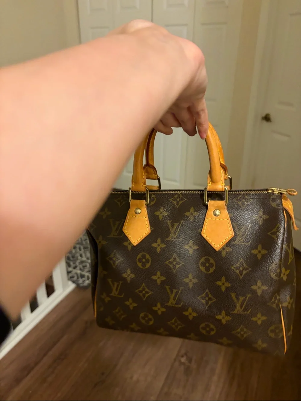 Louis Vuitton Monogram Speedy 25
